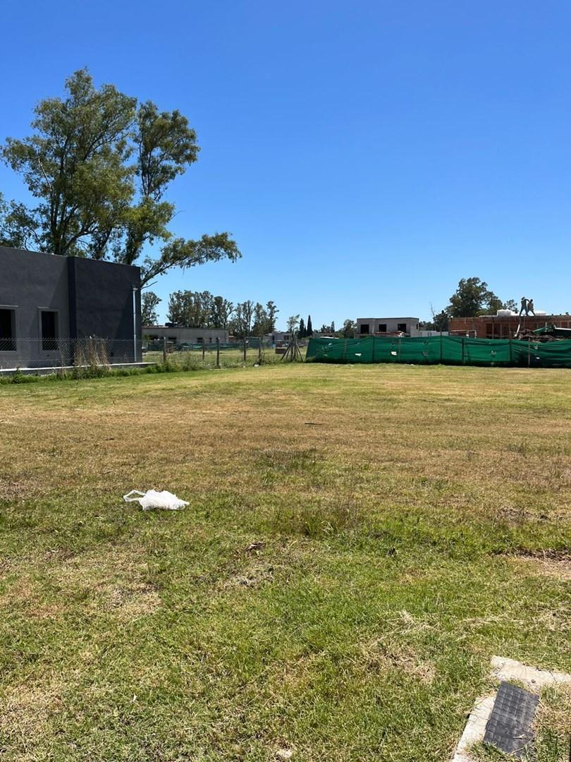 Foto de Terreno Lote en Venta en Santa Sofía, Pilar del Este, Pilar, imagen 4