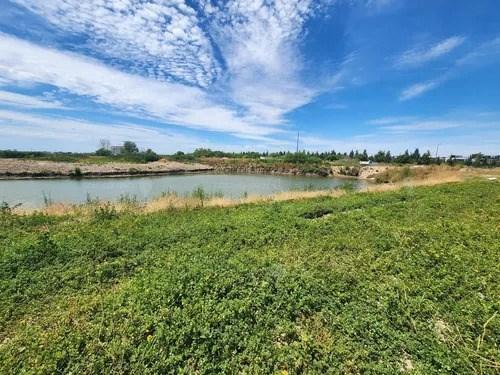 Foto de Terreno Lote en Venta en Gaviotas, Nordelta, Tigre, imagen 4