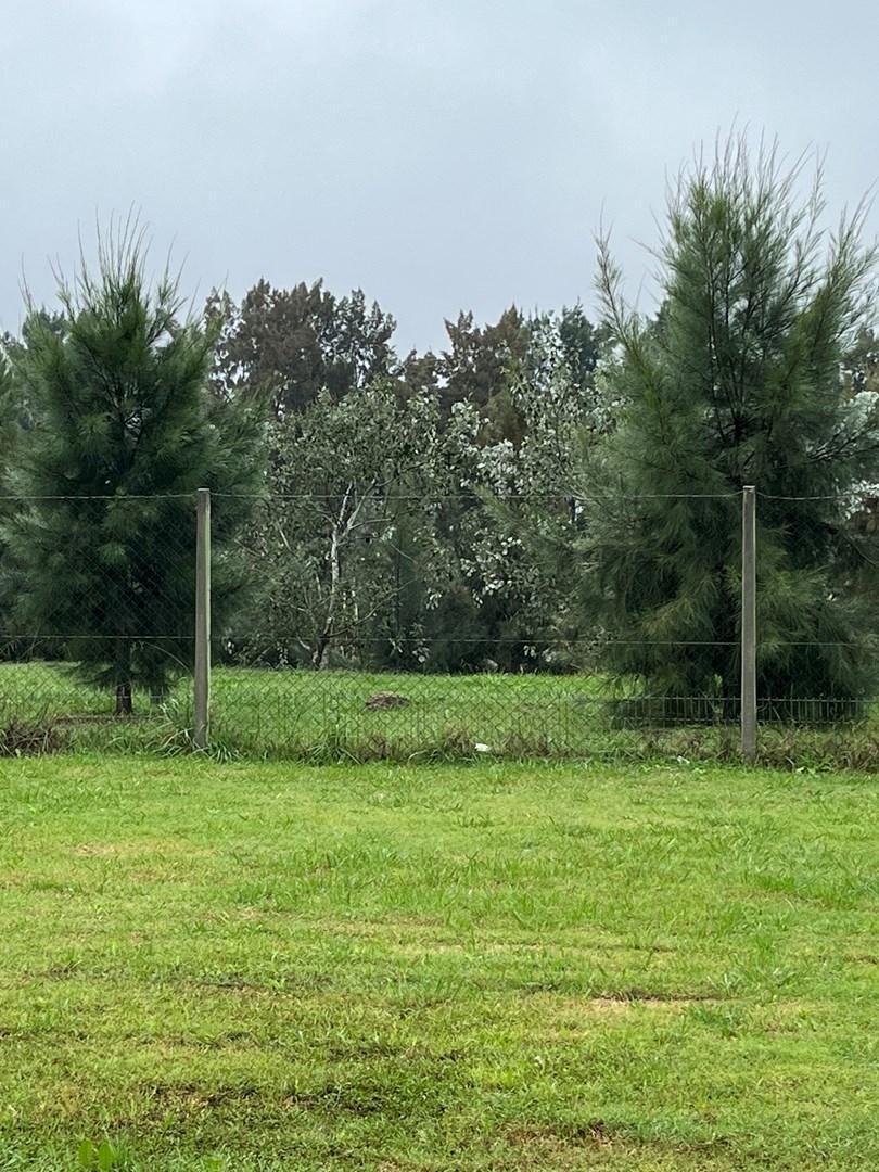 Foto de Terreno Lote en Venta en Castaños, Nordelta, Tigre, imagen 4