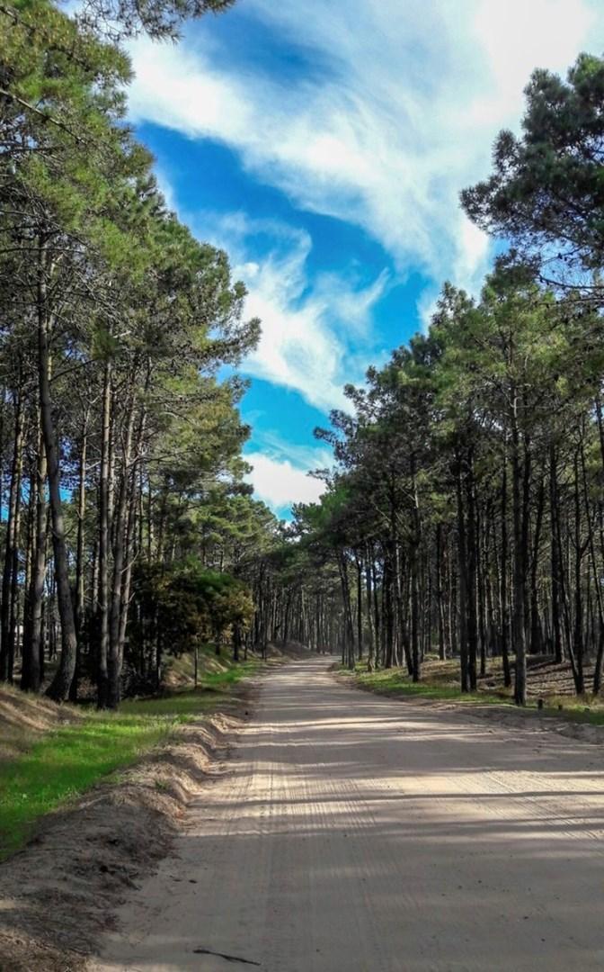 Foto de Terreno Lote en Venta en Pinamar Norte, Pinamar, Costa Atlántica, imagen 4