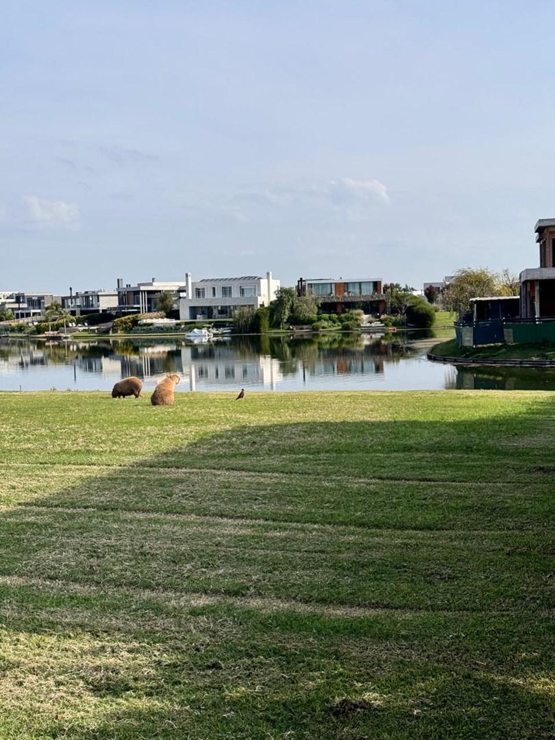 Foto de Terreno Lote en Venta en Virazón, Nordelta, Tigre, imagen 5