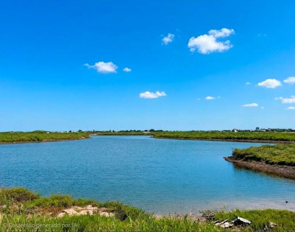 Foto de Terreno Lote en Venta en Gaviotas, Nordelta, Tigre, imagen 2