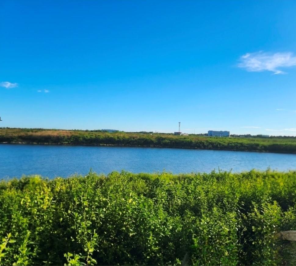 Foto de Terreno Lote en Venta en Gaviotas, Nordelta, Tigre, imagen 1