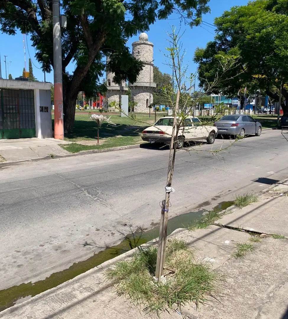VENTA OPORTUNIDAD DE INVERSIÓN COMPLEJO DE 3 DÚPLEX CON EXCELENTE RENTA 2