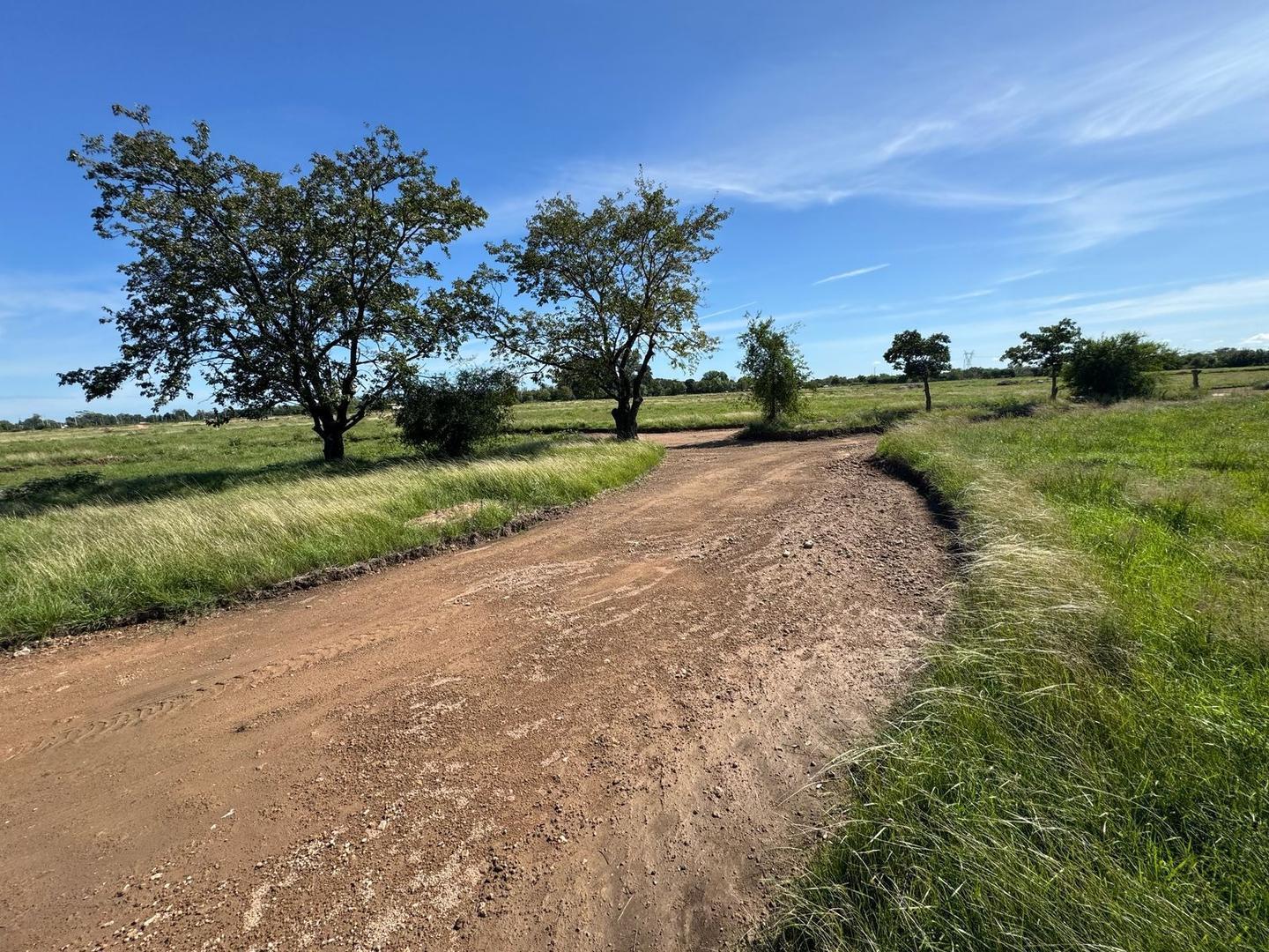 Lotes Barrio Cerrado Pilar, Todos los servicios