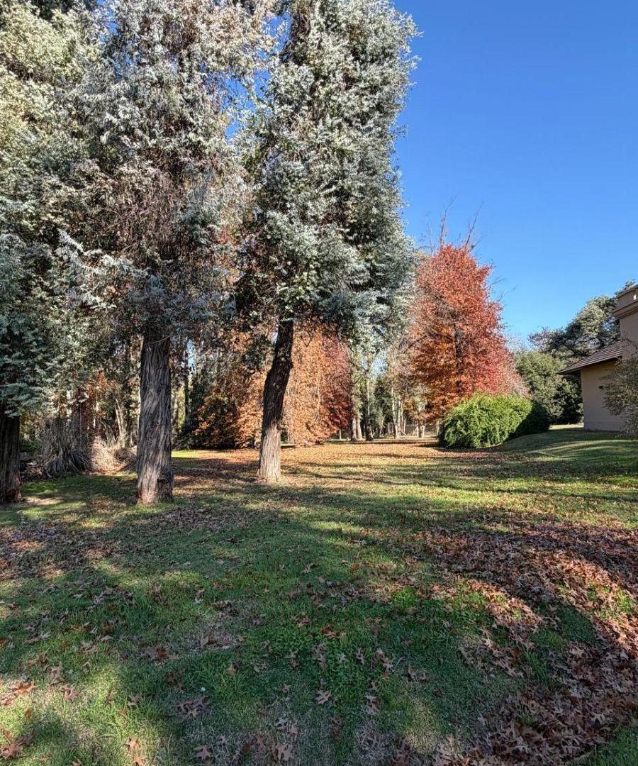 Foto de LOTE EN COUNTRY LAS PRADERAS DE LUJAN, imagen 4