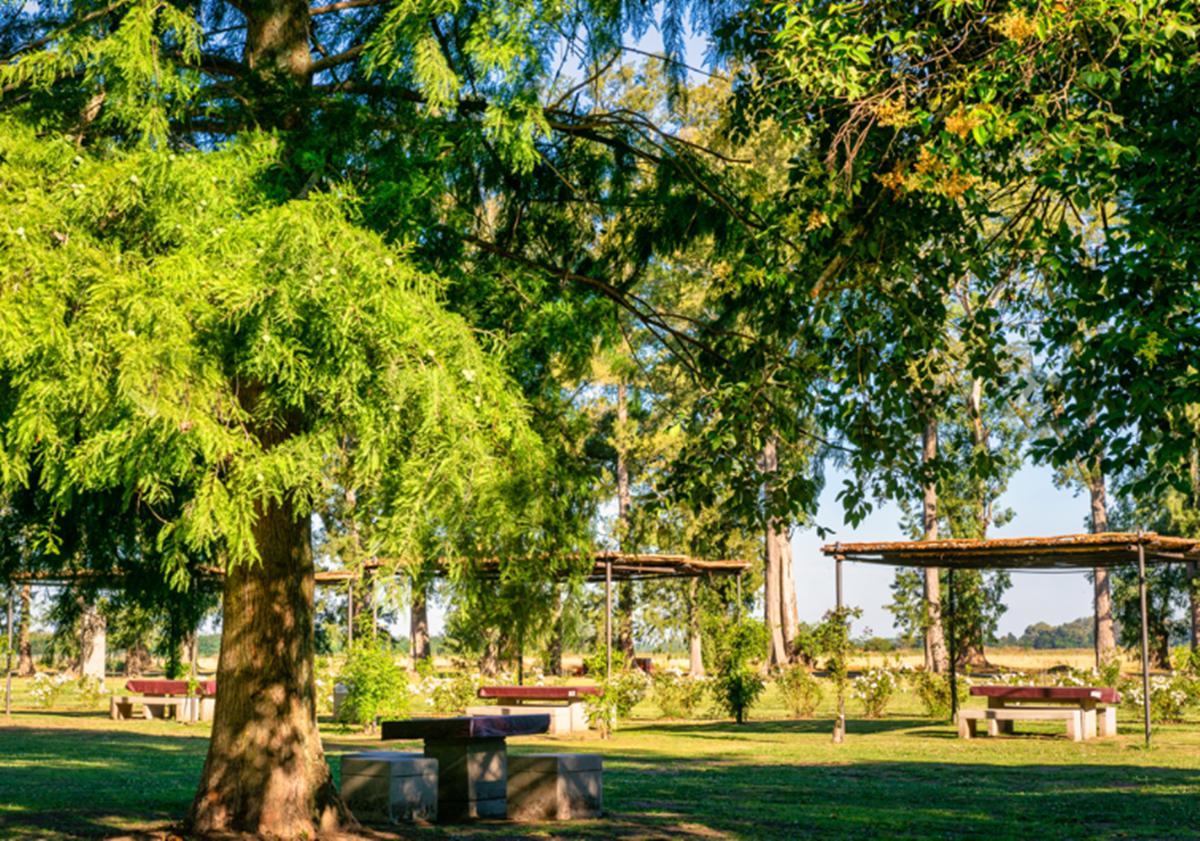 Foto de lote en Viila de Campo tres pinos Sector Polo, imagen 2