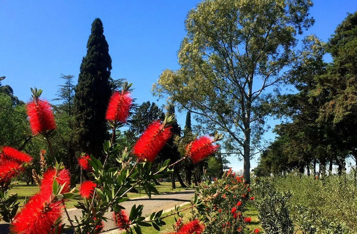 VENTA TERRENOS EN BARRIO CERRADO SAN NICOLAS 3