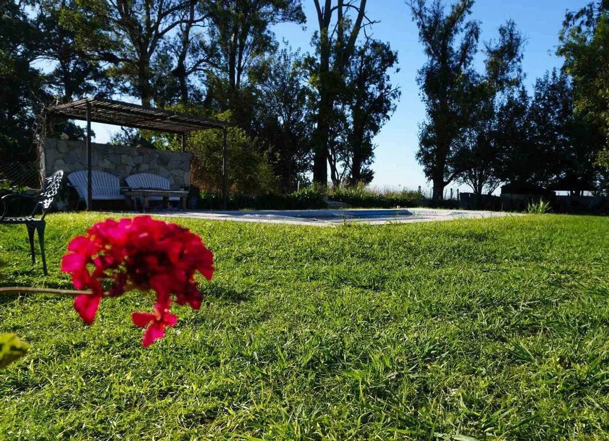 VENTA CAMPO 7.5 HECTAREAS ROJO GRAN CASA Y PILETA 5