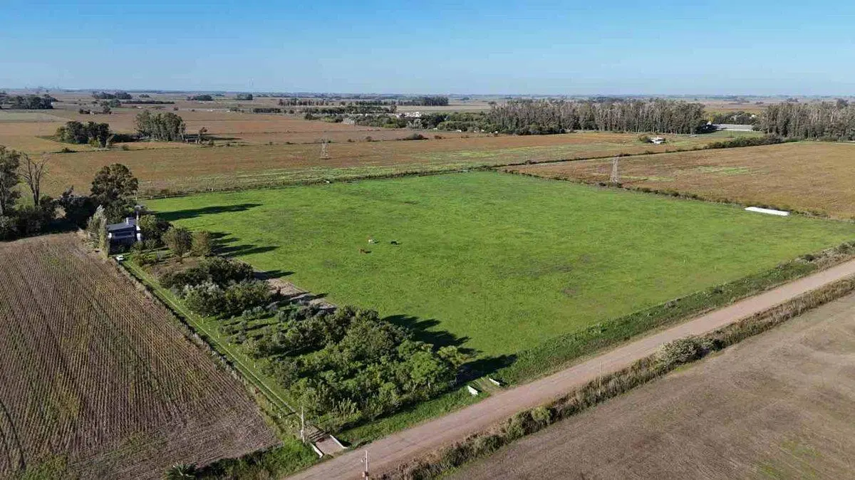 VENTA CAMPO 7.5 HECTAREAS ROJO GRAN CASA Y PILETA 3