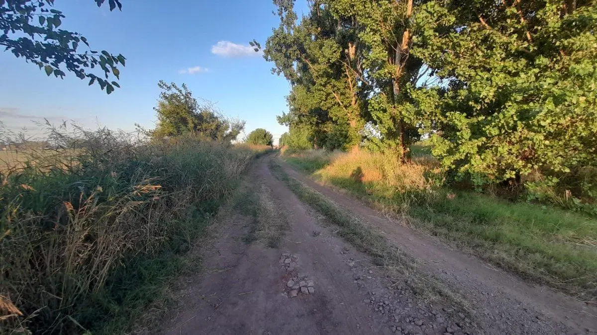 CAMPO 9 HA. EN RAMALLO 4