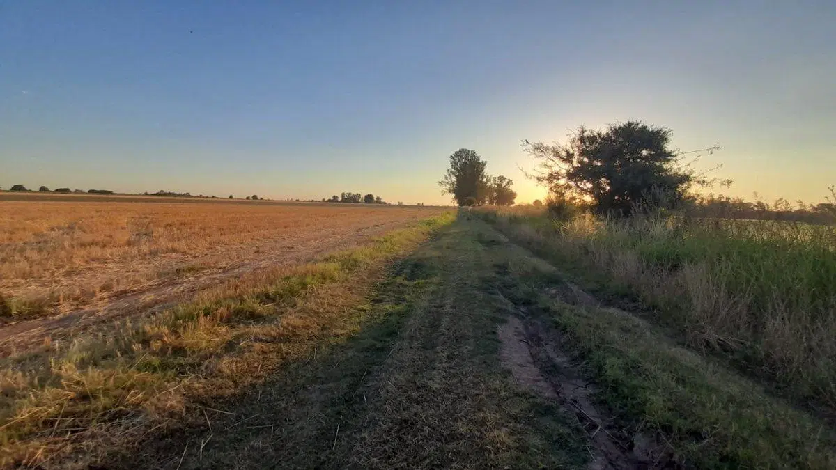 CAMPO 9 HA. EN RAMALLO 3