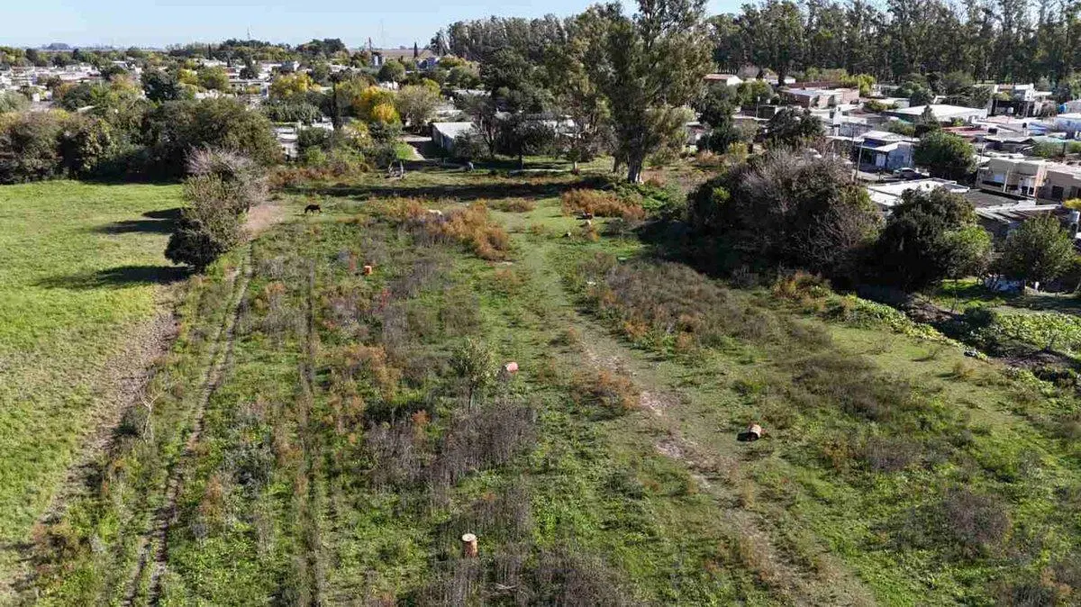 VENTA CAMPO CON PLANO DE LOTEO APROBADO EN ROJO SN 5