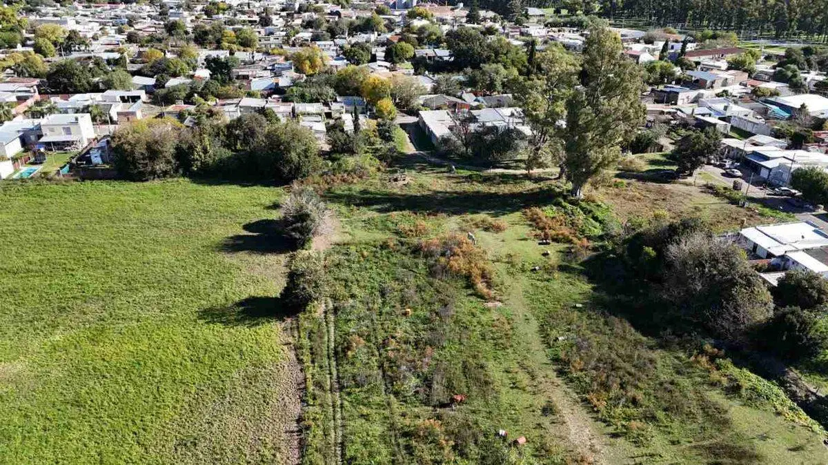 VENTA CAMPO CON PLANO DE LOTEO APROBADO EN ROJO SN 3