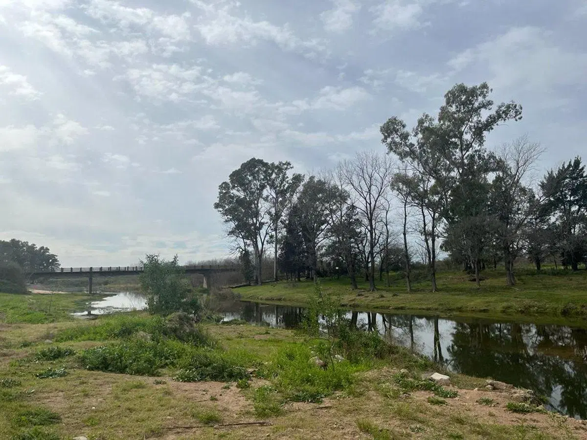 VENTA CAMPO 3,6 ha SAN NICOLAS IDEAL P/CABAÑAS 3