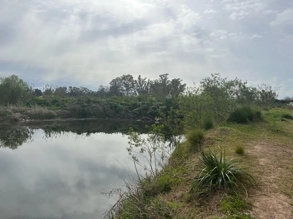 VENTA CAMPO 3,6 ha SAN NICOLAS IDEAL P/CABAÑAS 5