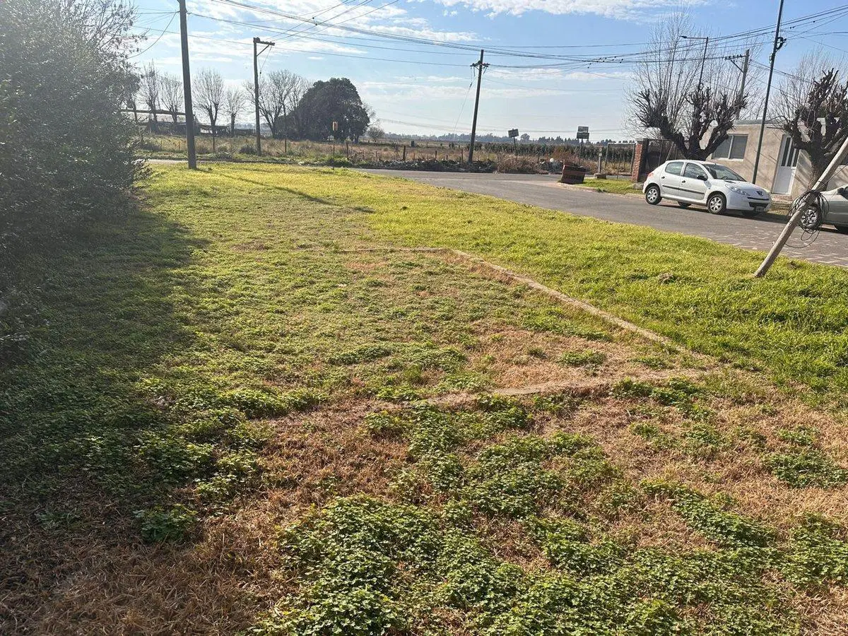 VENTA-TERRENO-SAN NICOLAS-LA EMILIA 2