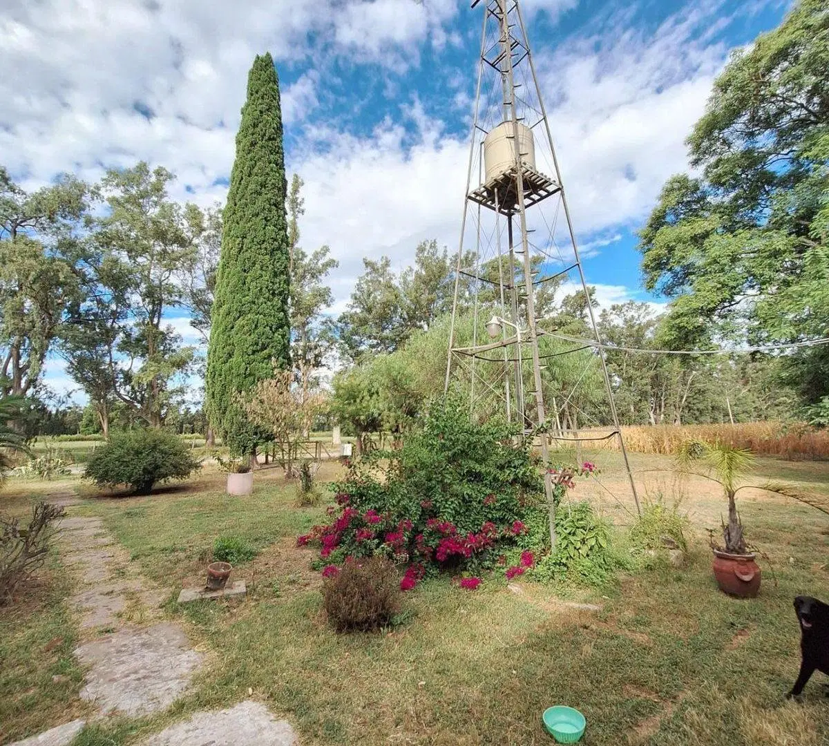 VENTA CAMPO COCHACRA EN COLONIA SUIZA – BARADERO 2