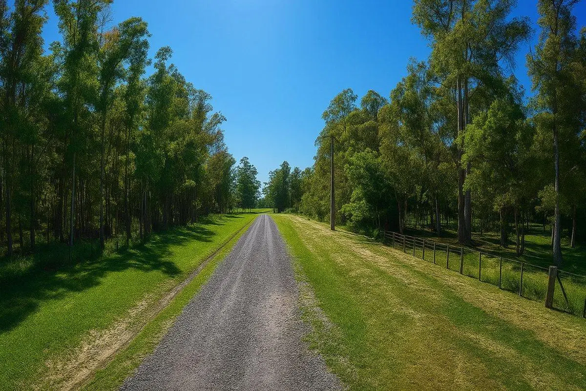VENTA LOTE EN ESTRELLA FEDERAL, RAMALLO. 4