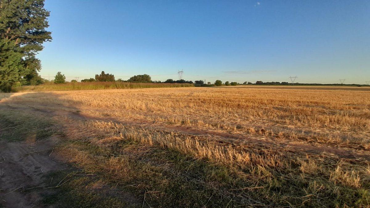 CAMPO 9 HA. EN RAMALLO