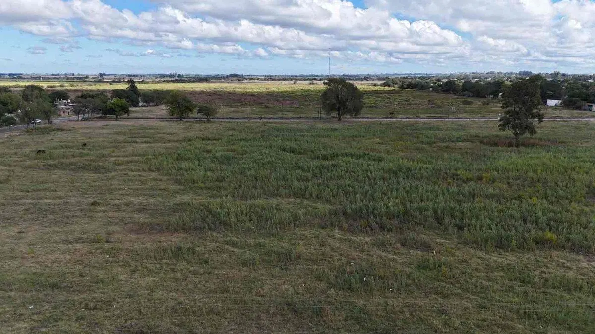 VENTA TERRENO 12,26 Ha EN SAN NICOLAS AVDA MORENO 3