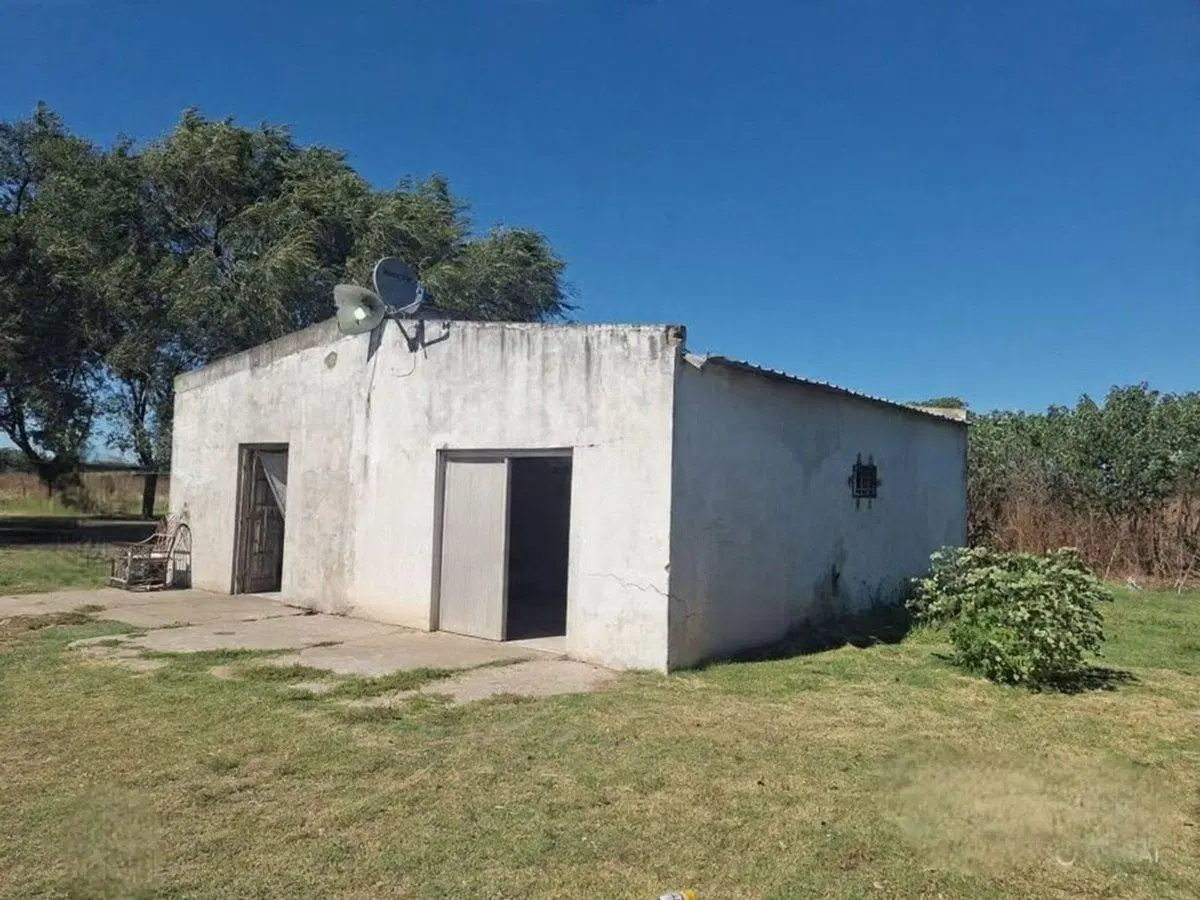 VENTA 14 HA PRODUCTIVAS MAS DOS VIVIENDAS 4