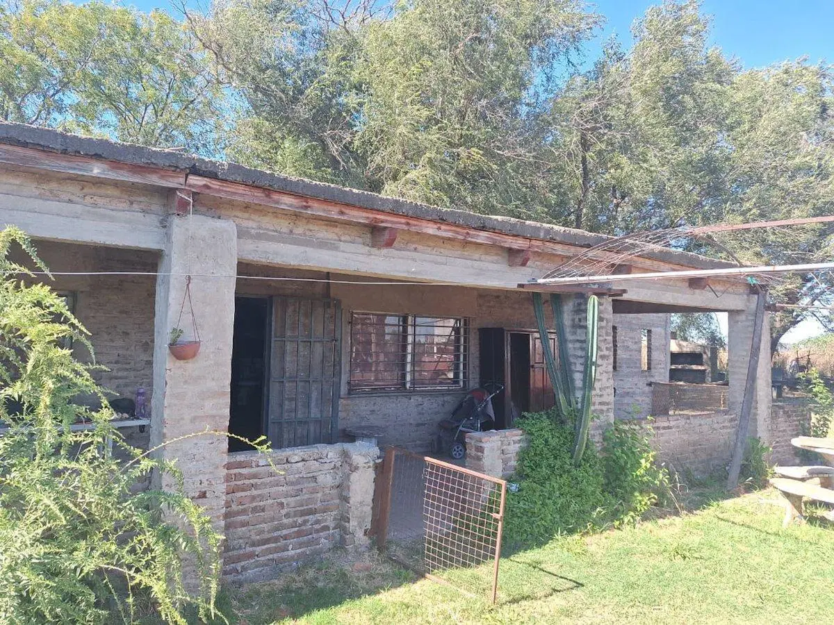 VENTA 14 HA PRODUCTIVAS MAS DOS VIVIENDAS 7