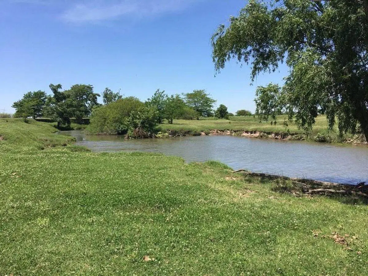 CAMPO RUTA 9 -53,5 HA PRODUCTIVO ALTO POTENCIAL 5
