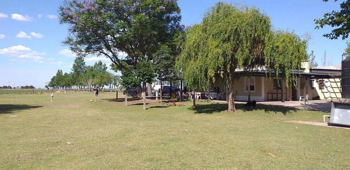 CAMPO RUTA 9 -53,5 HA PRODUCTIVO ALTO POTENCIAL