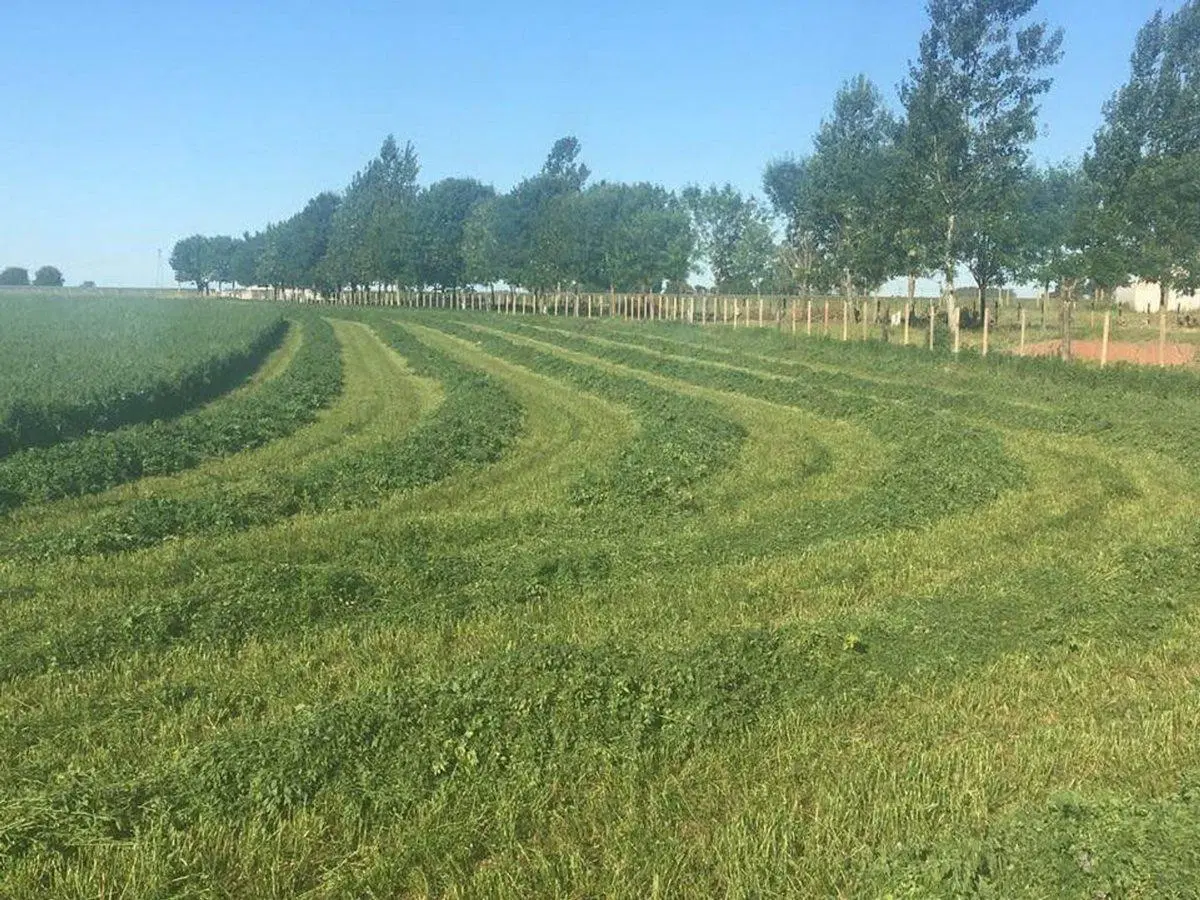 CAMPO RUTA 9 -53,5 HA PRODUCTIVO ALTO POTENCIAL 4