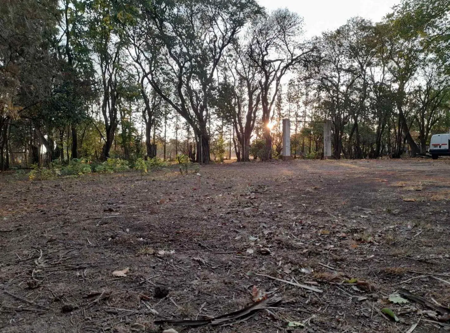 Excelente terreno con añeja forestación 4