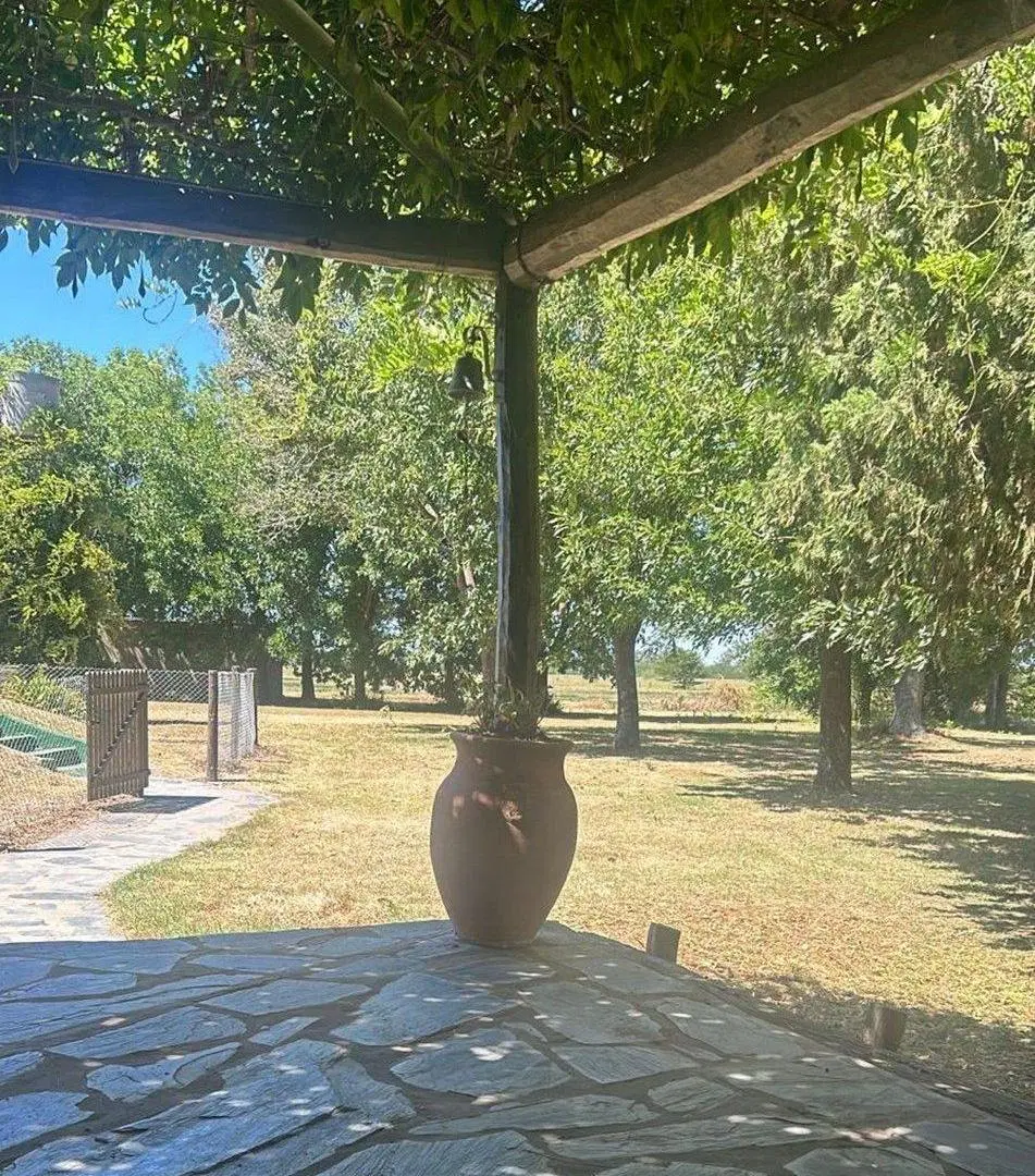 VENTA CAMPO Y ESTANCIA SAN NICOLAS 31,5 HA 3