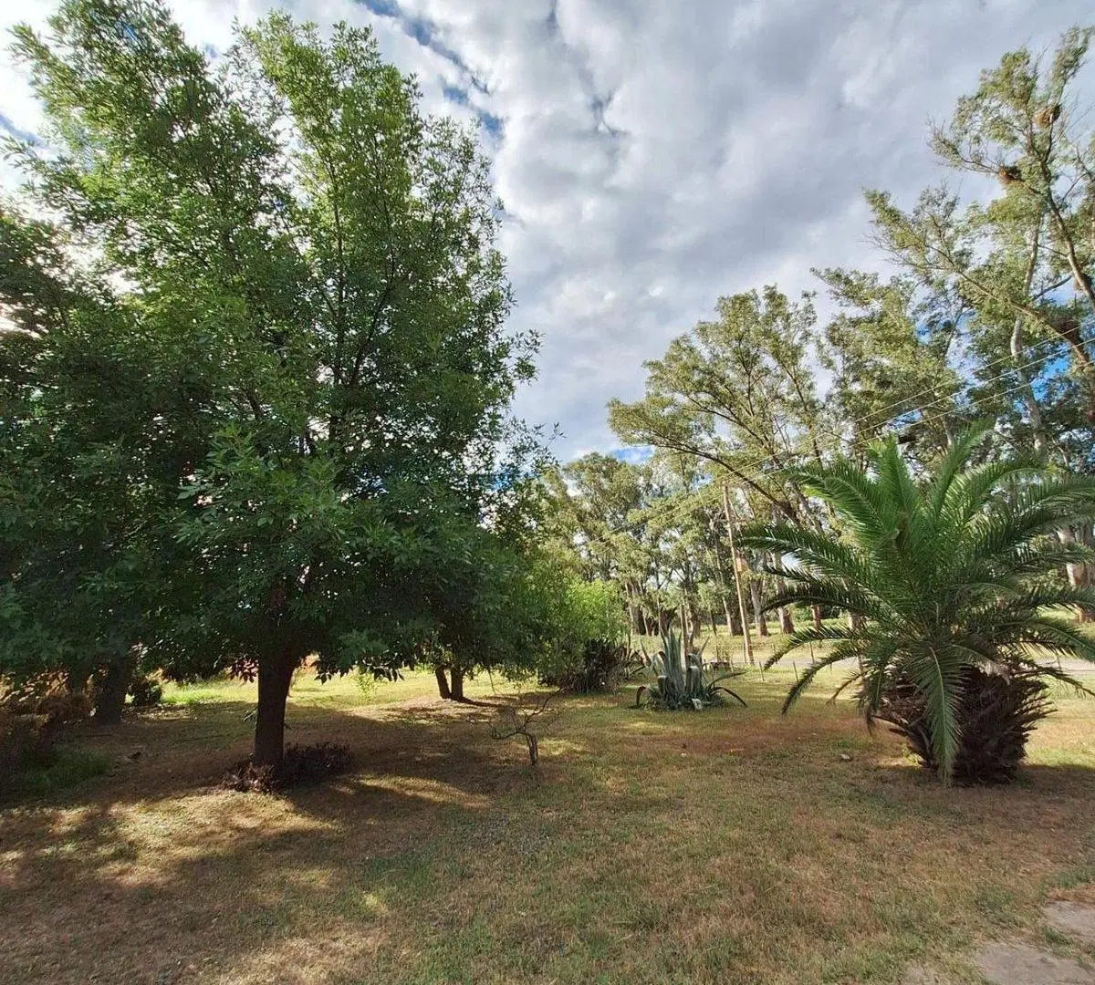 VENTA CAMPO COCHACRA EN COLONIA SUIZA – BARADERO 8
