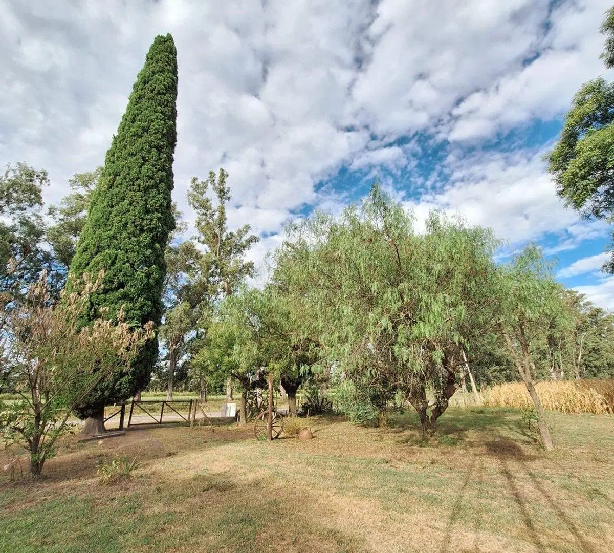 VENTA CAMPO COCHACRA EN COLONIA SUIZA – BARADERO 2