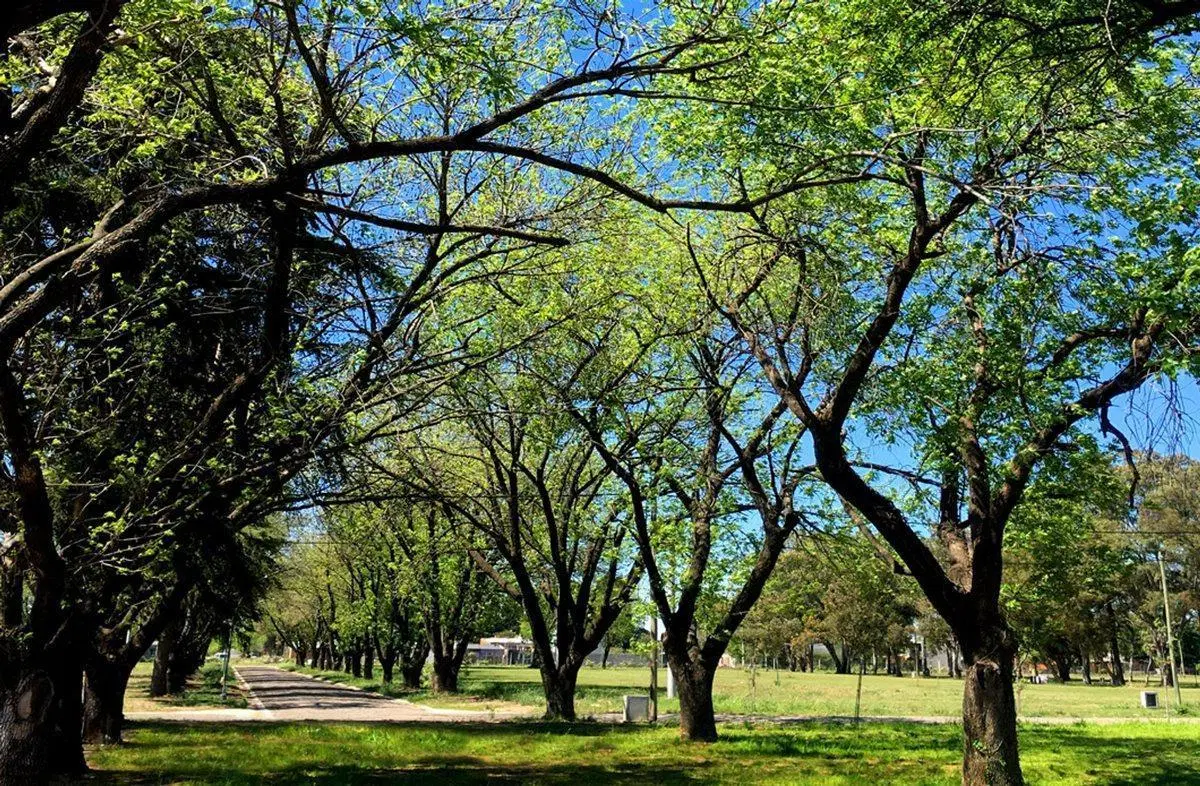 VENTA TERRENOS EN BARRIO CERRADO SAN NICOLAS 5