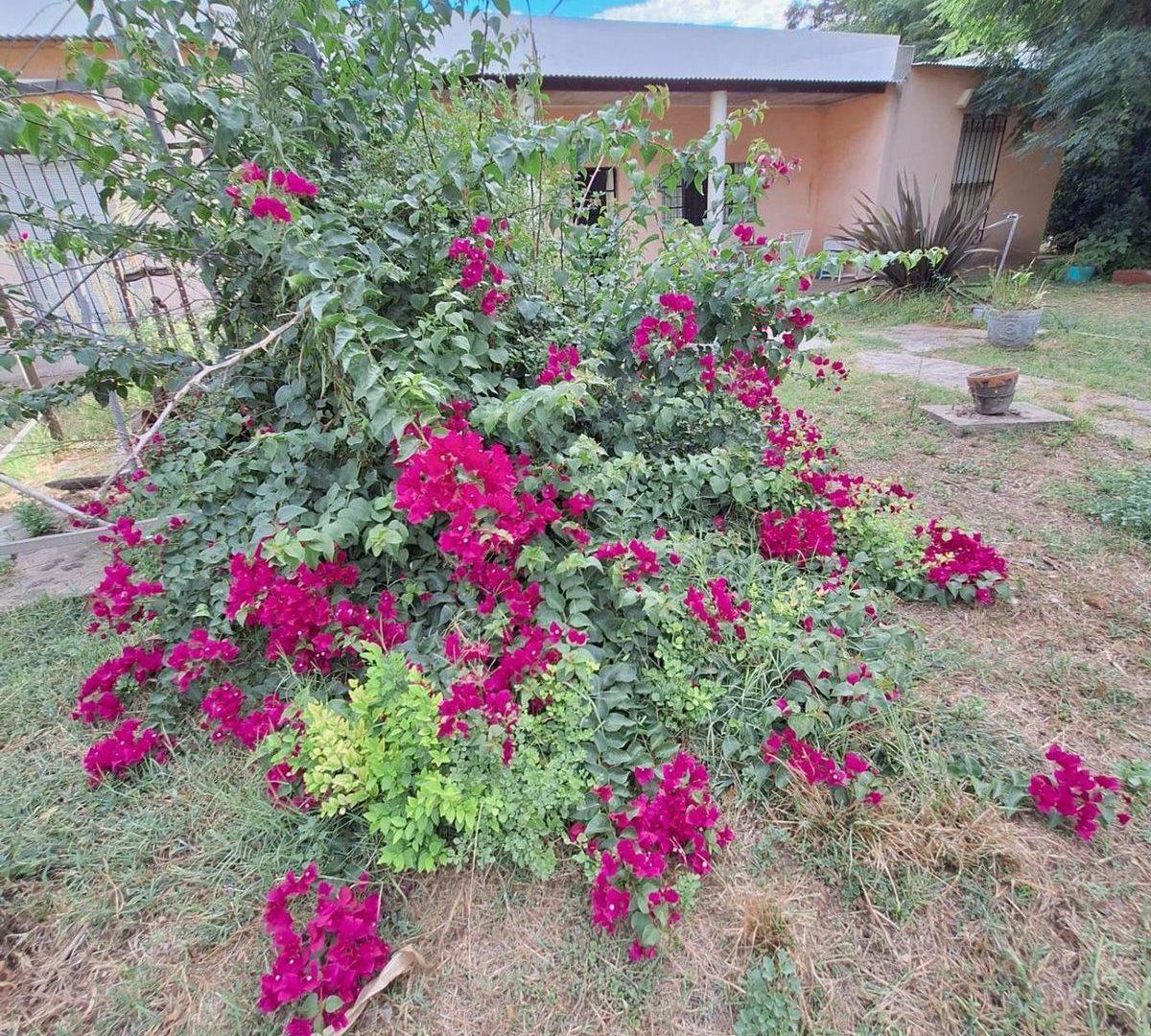 Foto de VENTA CAMPO COCHACRA EN COLONIA SUIZA – BARADERO, imagen 5