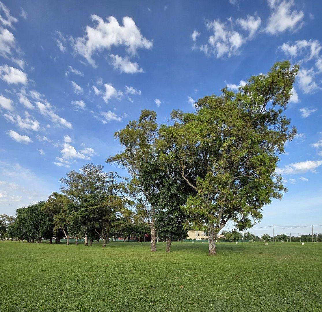 Foto de VENTA LOTE NUMERO 80 BARRIO PRIVADO LA FORESTA, imagen 2