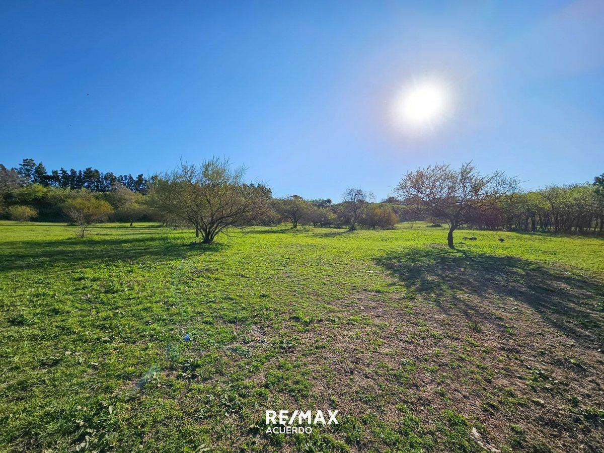 Foto de VENDE LOTE VISTA AL RIO SAN PEDRO IDEAL INVERSION, imagen 1