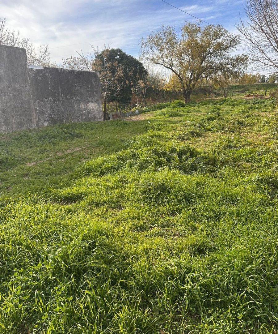Foto de Venta de terreno- La Emilia - San Nicolas, imagen 3