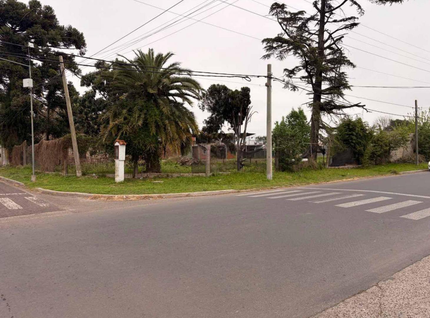 Foto de VENTA TERRENO 310 M2 SAN NICOLAS, imagen 4