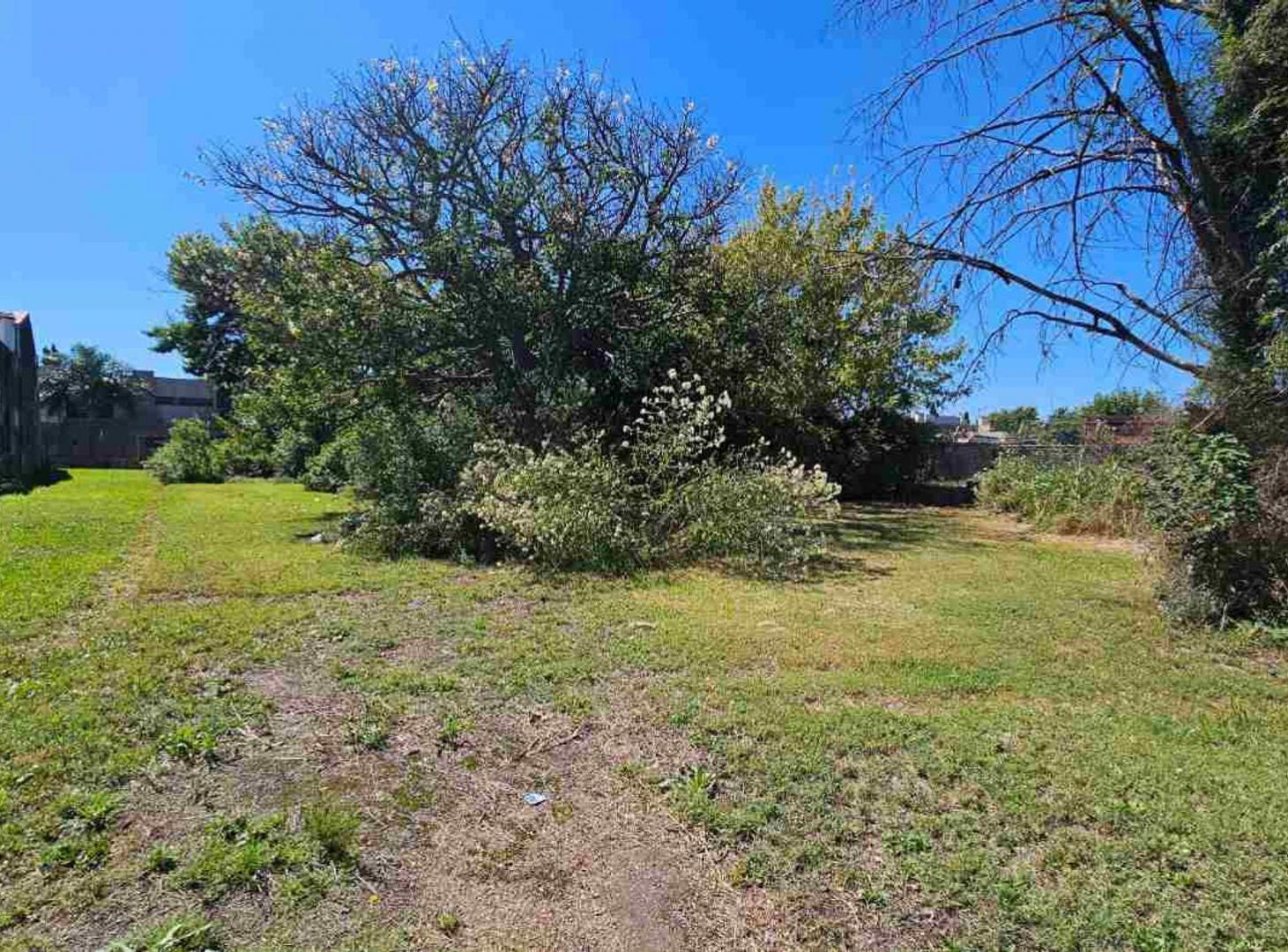Foto de VENTA TERRENO 537 M2 EN SAN NICOLAS, imagen 2