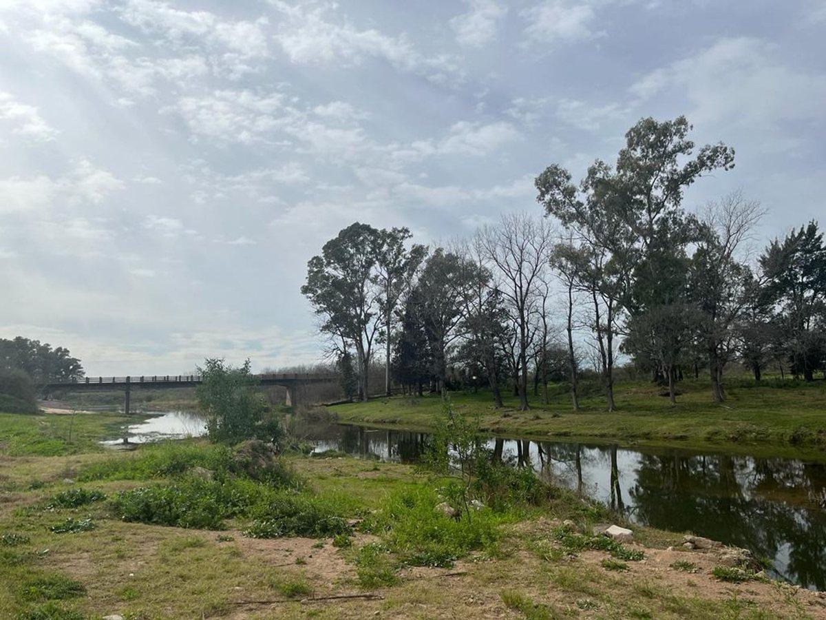 Foto de VENTA CAMPO 3,6 ha SAN NICOLAS IDEAL P/CABAÑAS, imagen 3