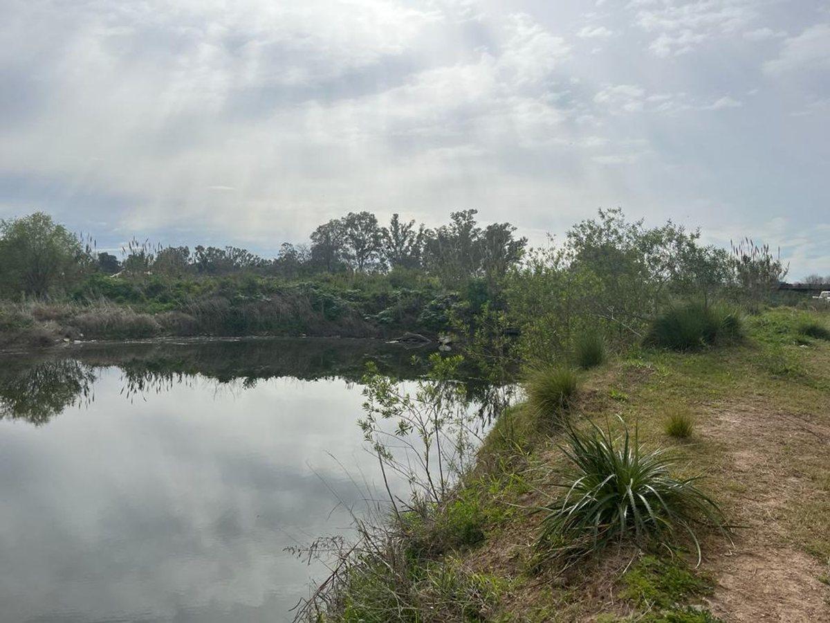 Foto de VENTA CAMPO 3,6 ha SAN NICOLAS IDEAL P/CABAÑAS, imagen 5
