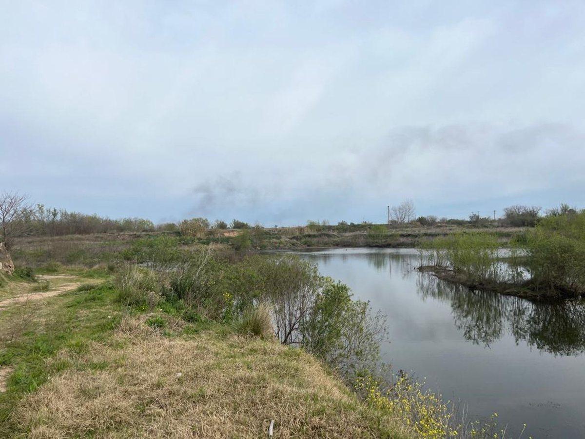 Foto de VENTA CAMPO 3,6 ha SAN NICOLAS IDEAL P/CABAÑAS, imagen 2