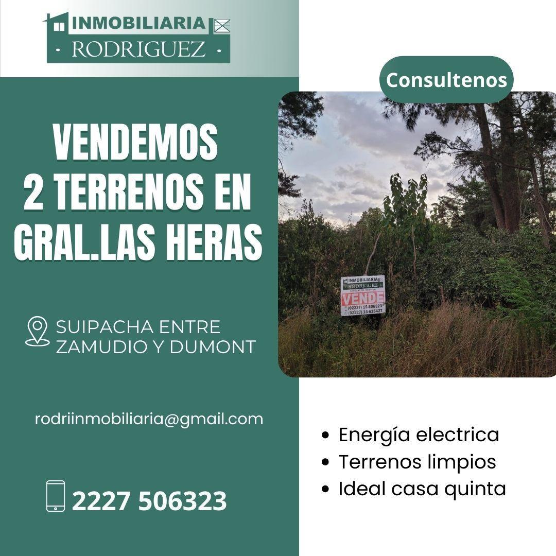 Foto de Vendemos 1 terreno en Gral. Las Heras Provincia de Buenos Aires, imagen 3