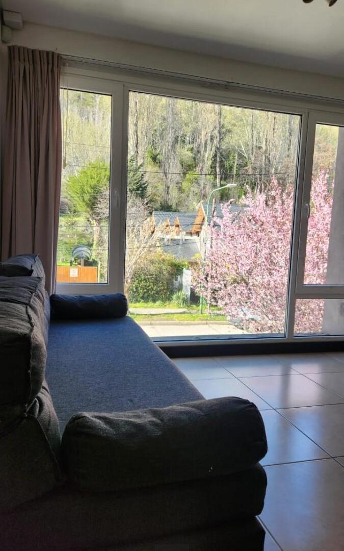 Foto de DEPARTAMENTO - SAN MARTIN DE LOS ANDES - CENTRO, imagen 5