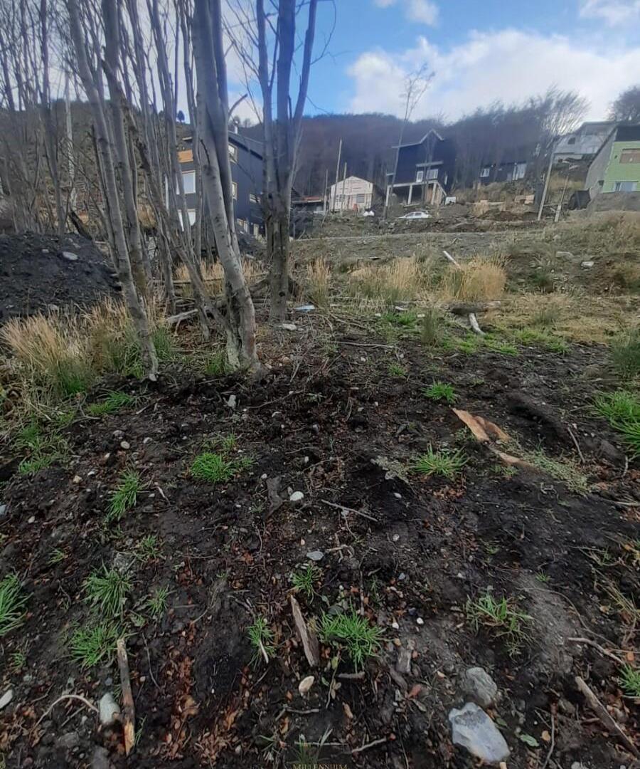 Foto de LOTE BARRIO AKAR, imagen 3