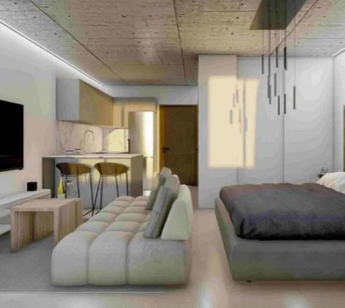 Departamento Mono ambiente en venta Brickell Joven Tigre 1