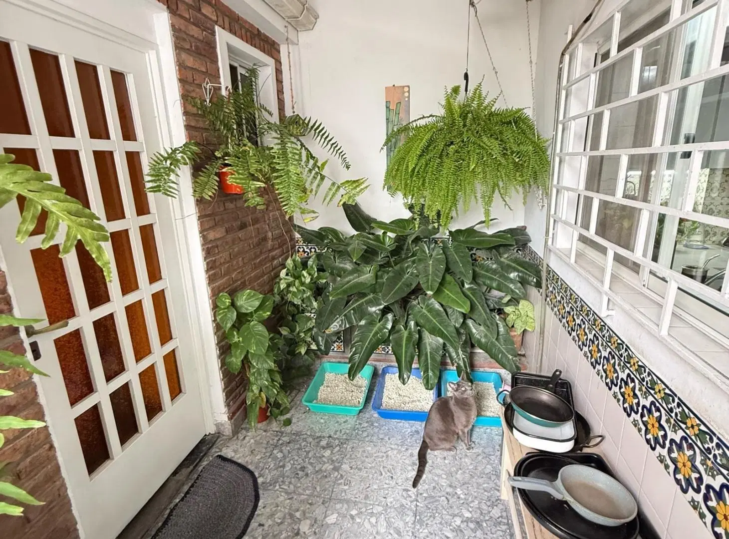 Casa - Las Lomas de San Isidro 5