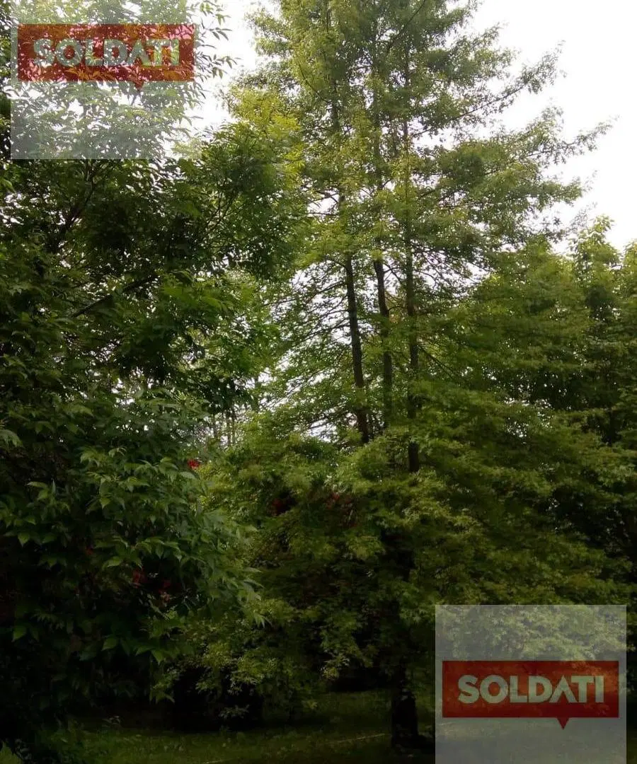 Terreno en venta y/o alquiler en Benavidez mas de 9298 mts 1